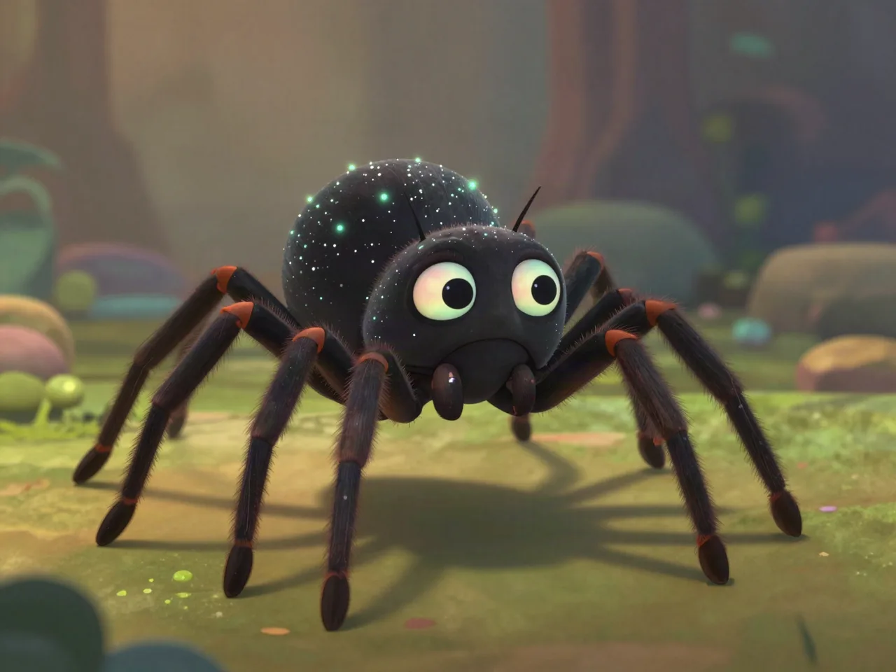 Schleierzahn-Spinne